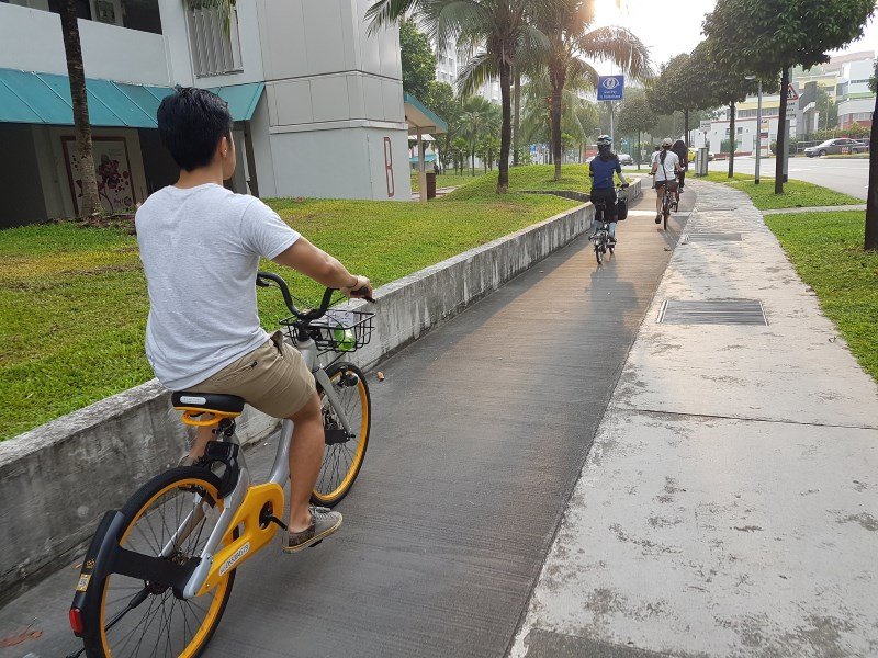 A cycling path in Tampines 